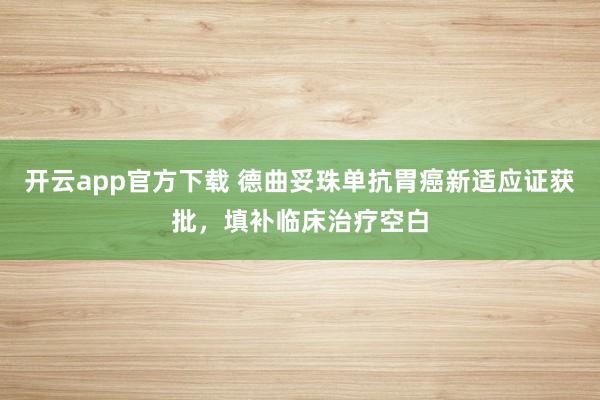 开云app官方下载 德曲妥珠单抗胃癌新适应证获批，填补临床治疗空白