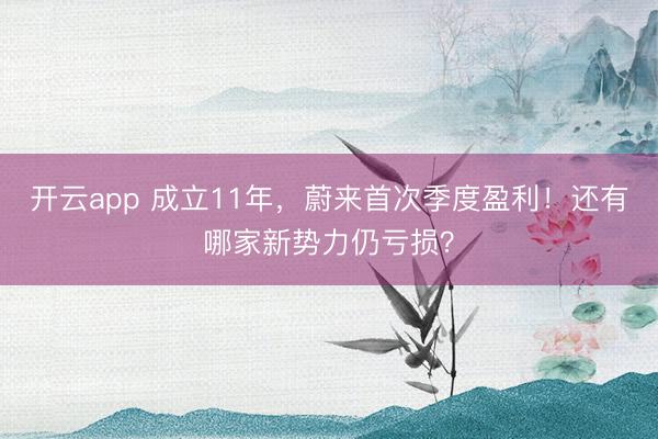 开云app 成立11年，蔚来首次季度盈利！还有哪家新势力仍亏损？