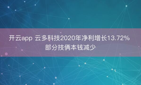 开云app 云多科技2020年净利增长13.72% 部分技俩本钱减少