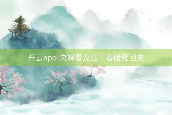开云app 央媒看龙江丨春暖雁回来