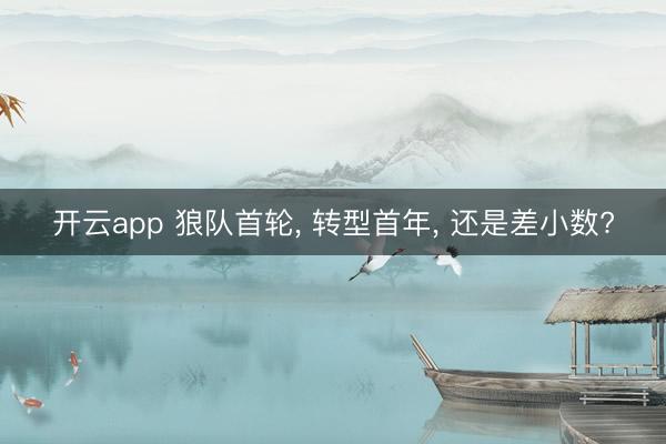 开云app 狼队首轮， 转型首年， 还是差小数?
