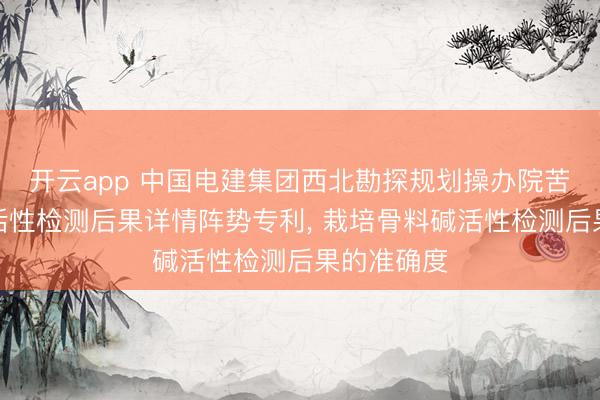 开云app 中国电建集团西北勘探规划操办院苦求骨料碱活性检测后果详情阵势专利， 栽培骨料碱活性检测后果的准确度